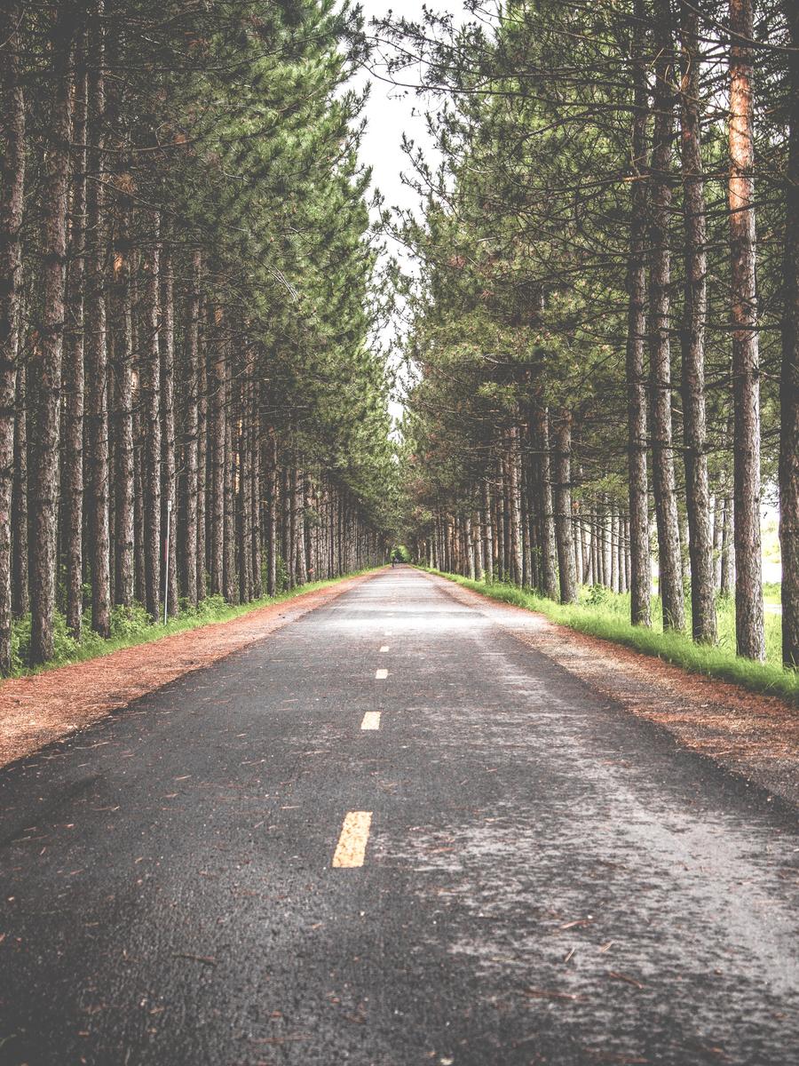 409a0202-f38a-356a-93fd-bfade86f58aa